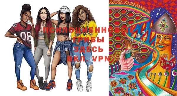 прущие крисы Армянск