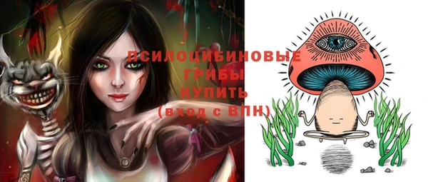 прущие крисы Армянск